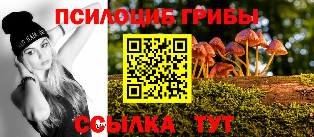 Шали  Псилоцибиновые грибы Psilocybine cubensis  Вход с VPN 